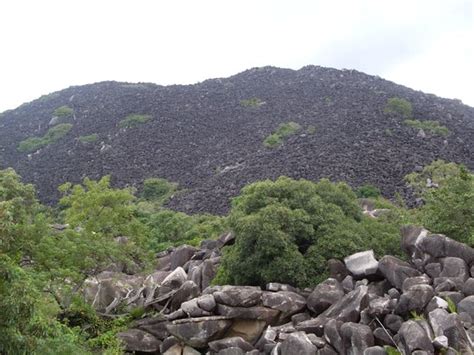 Black Mountain National Park (Queensland) - 2021 All You Need to Know ...