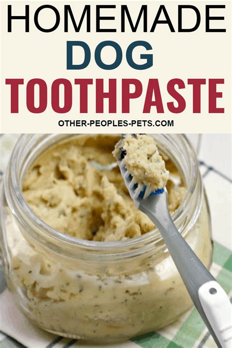 Homemade Dog Toothpaste Your Dog Will Like in 2021 | Dog toothpaste ...