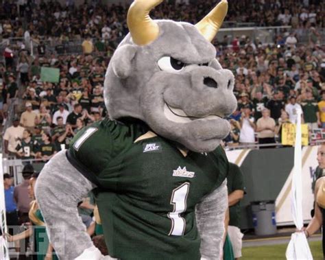 Mascot Monday: Rocky the Bull | KC College Gameday