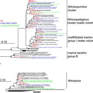 Fig. S1. Phylogeny of 16S rRNA genes observed in this study (red), the ...