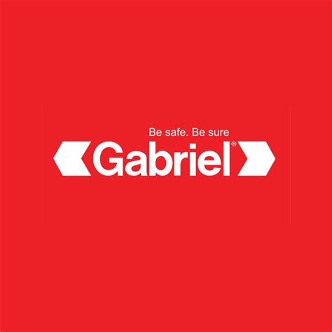 Gabriel Shocks ZA | Johannesburg