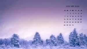 January 2024 Desktop Calendar Wallpaper - iXpap