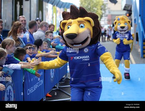 Chelsea mascots Stamford the Lion and Bridget the Lioness greet young fans before the Premier ...