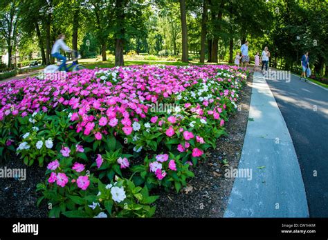 Flowers in the park in Oslo, Norway Stock Photo - Alamy