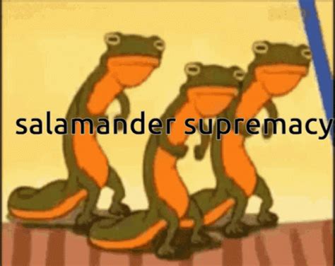 Salamander GIFs | Tenor