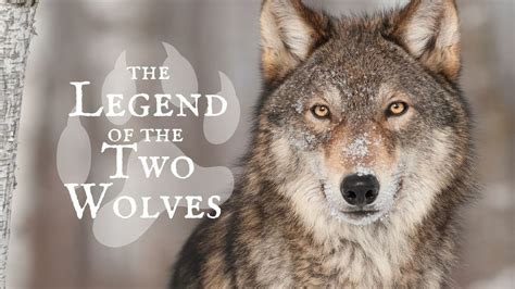 The Legend of the Two Wolves