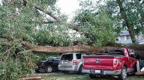 Storm damage being assessed in Essex County | CBC News