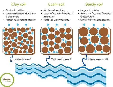 Vermicompost can reduce the need to water your plants by 30%