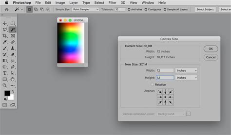 How to resize an image to a square - Adobe Community - 10991568