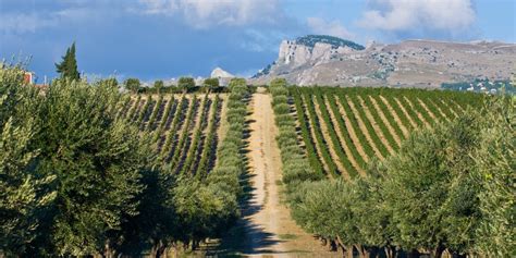 Visit The 6 Best Wineries in Sicily for True Marsala Wine - Winerist Magazine : Winerist Magazine