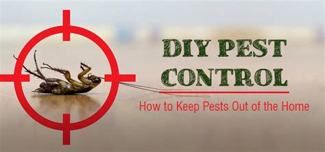 DIY Pest Control Ideas | Do it Yourself Pest Control in Home