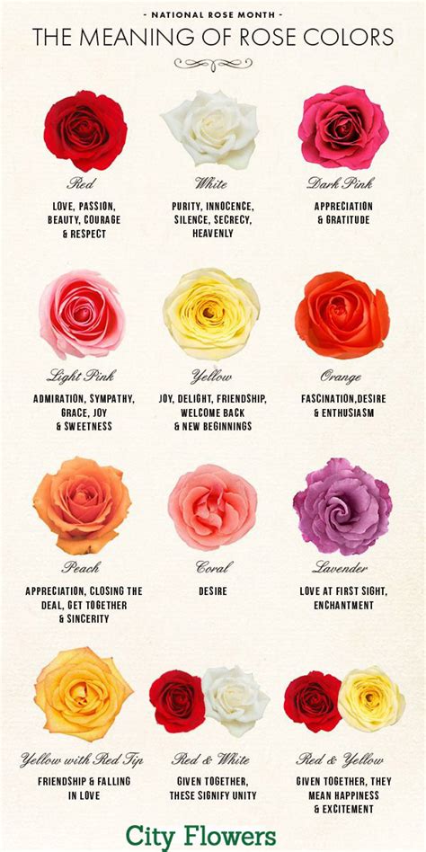 Roses Guide - Roses Meaning | Visual.ly | Rose color meanings, Flower meanings, Language of flowers