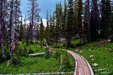 Katie Wanders : Lakes Country Trail Hike, High Uintas, Utah