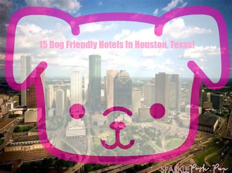 15 of the Most Pet Friendly Hotels in Houston TX! - Pretty Pink Living