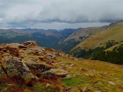 Alpine Photograph - Alpine Tundra by Dan Miller | Tundra, Perennials, Long blooming perennials