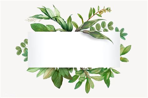 Tropical botanical banner design illustration | premium image by rawpixel.com / Kappy Kappy ...