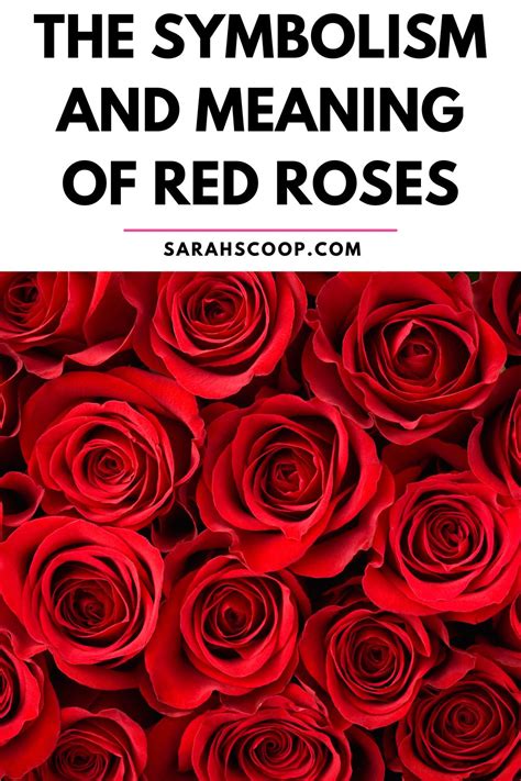 The Symbolism and Meaning of Red Roses | Sarah Scoop