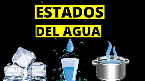 Optimista Afirmar portón estado liquido del agua Ser amado mostrador ...