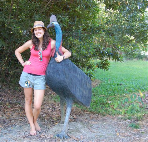 Cassowary