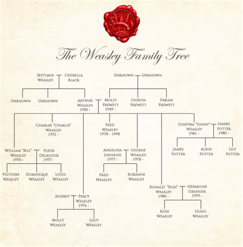 All Potterheads | Harry potter family tree, Weasley family, Weasley family tree