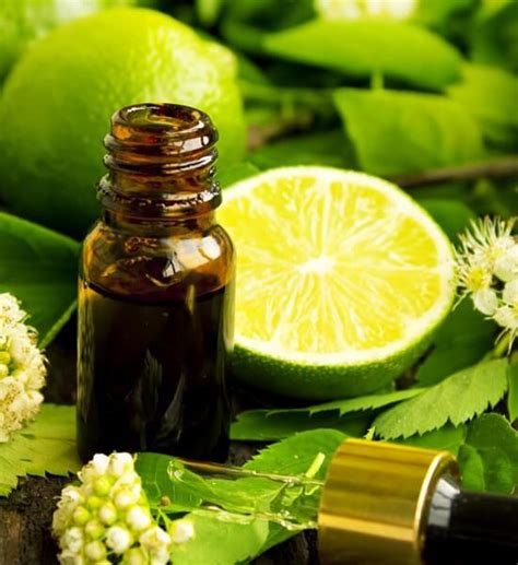 Aromatherapy Course - School of Natural Health Sciences