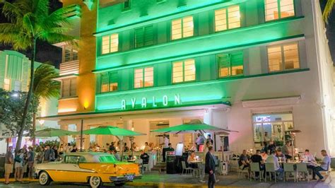 AVALON HOTEL - Updated 2024 Prices & Reviews (Miami Beach, FL)