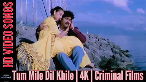 Tum Mile Dil Khile HD Video Song | Criminal Songs | Akkineni Nagarjuna, Manisha Koirala | Kumar ...