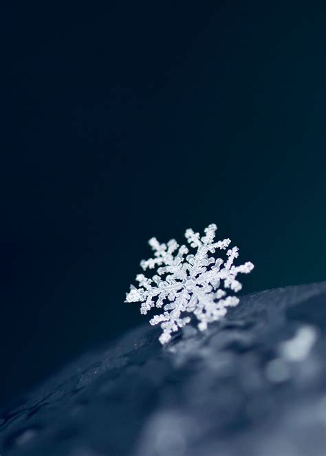 Snow macro | Winter pictures, Winter wallpaper, Winter scenes