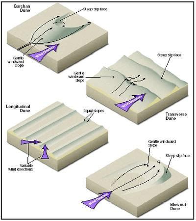 Types of Dune Forms: Barchan, Transverse, Longitudinal, Blowout