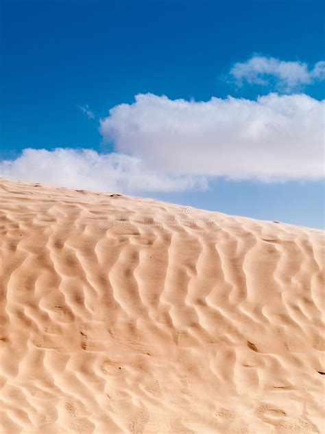 Douz,desert Landscape,sahara,tunisia,africa Stock Image - Image of tree, blue: 107366721