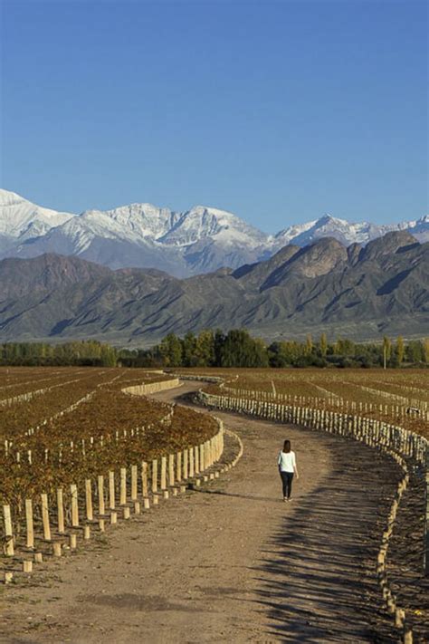 Mendoza Tours, Trips & Vacation Packages 2022-2023