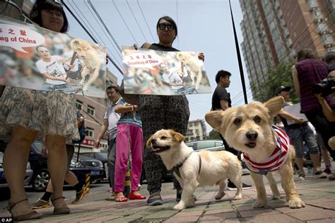 Yulin dog meat festival scene of animal rights protests aiming to end ...