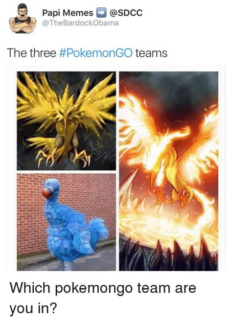 Pokemon Go Memes Teams