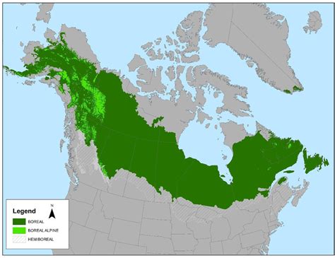 La bataille pour les forêts primaires du Canada - Association Francis ...