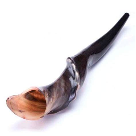 25+ Best Shofar Horns & Kosher Shofar Types from Israel [Kudu, Ram's ...