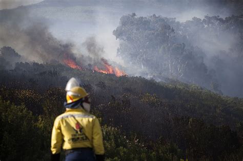 SANParks suspects arson in massive Cape Town wildfire, R10 000 reward offered | News24