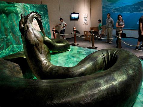 Titanoboa Monster Snake Skeleton