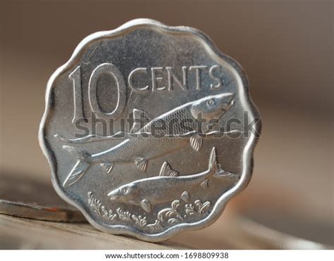 43 Bahamian Coins 10 Cent Royalty-Free Images, Stock Photos & Pictures ...