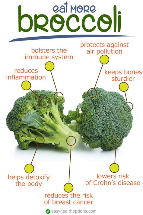 The health benefits of broccoli