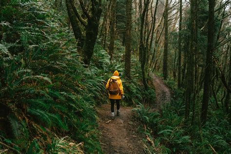 26 Jaw-Dropping Oregon Coast Hikes That Should Be On Your Bucket List ...