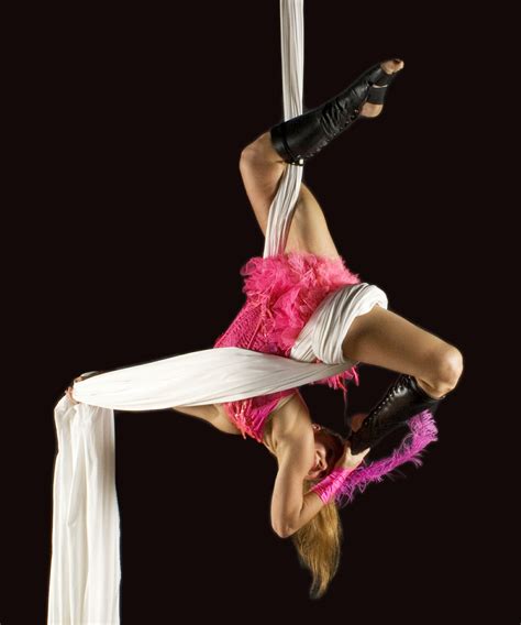 Acro gymnastics, aerial acrobatics and hula performance | Livestock