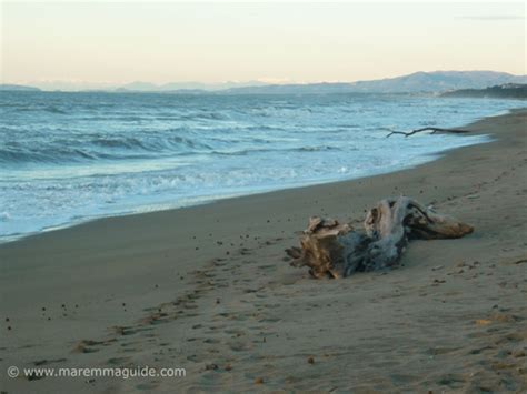 San Vincenzo Rimigliano Beach Tuscany Italy