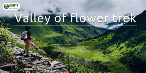 Valley of flower trek: The rich diversity of species - Chopta Eco Resort