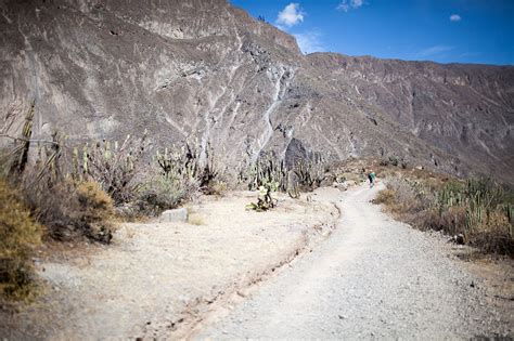 What's your mule? Trekking Colca Canyon in Peru. • Choosing Figs