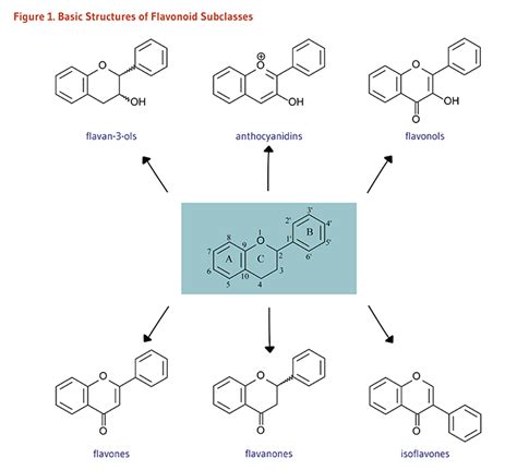 Flavonoids | Linus Pauling Institute | Oregon State University