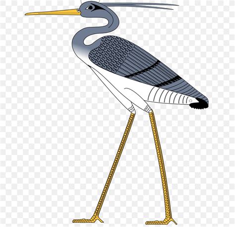 Bird The Bennu Project Egyptian Mythology Grey Heron, PNG, 659x791px ...