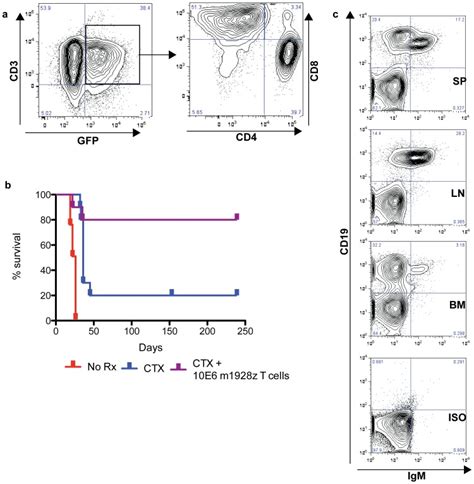 (a) Flow cytometry of bulk mouse T splenocytes double-transduced with... | Download Scientific ...