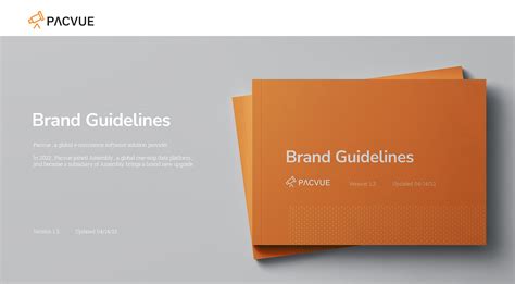 Pacvue Brand Guidelines on Behance