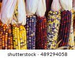 Indian Corn Free Stock Photo - Public Domain Pictures