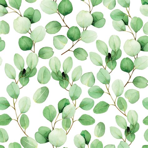 seamless watercolor pattern with eucalyptus leaves on a white ...